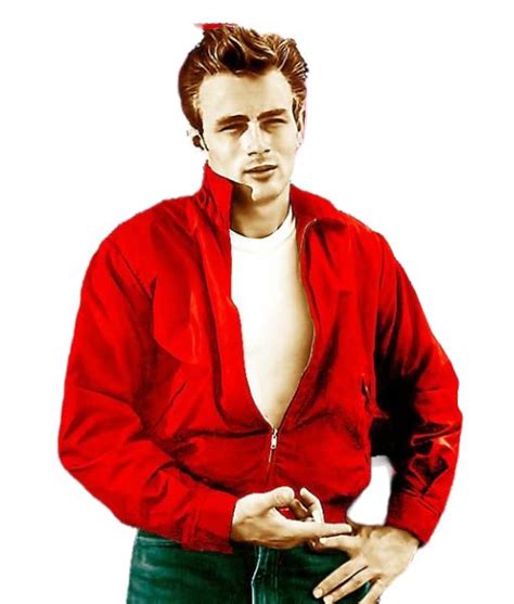 james dean leather jacket replica|james dean harrington jacket.